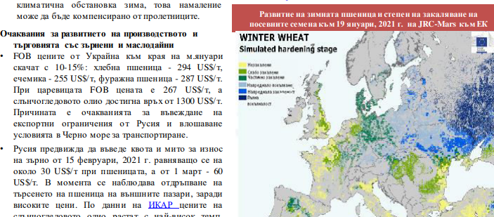 САPA: Значително по-слаб износ на наши зърнени и маслодайни култури. Русия се готви да въведе квота и мито за износ на зърно от 15 февруари