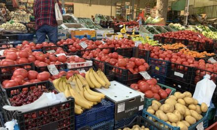 Свитото потребление въздържа крайните търговци от прекалено високи надценки при зеленчуците/ CAPA за юни,23/